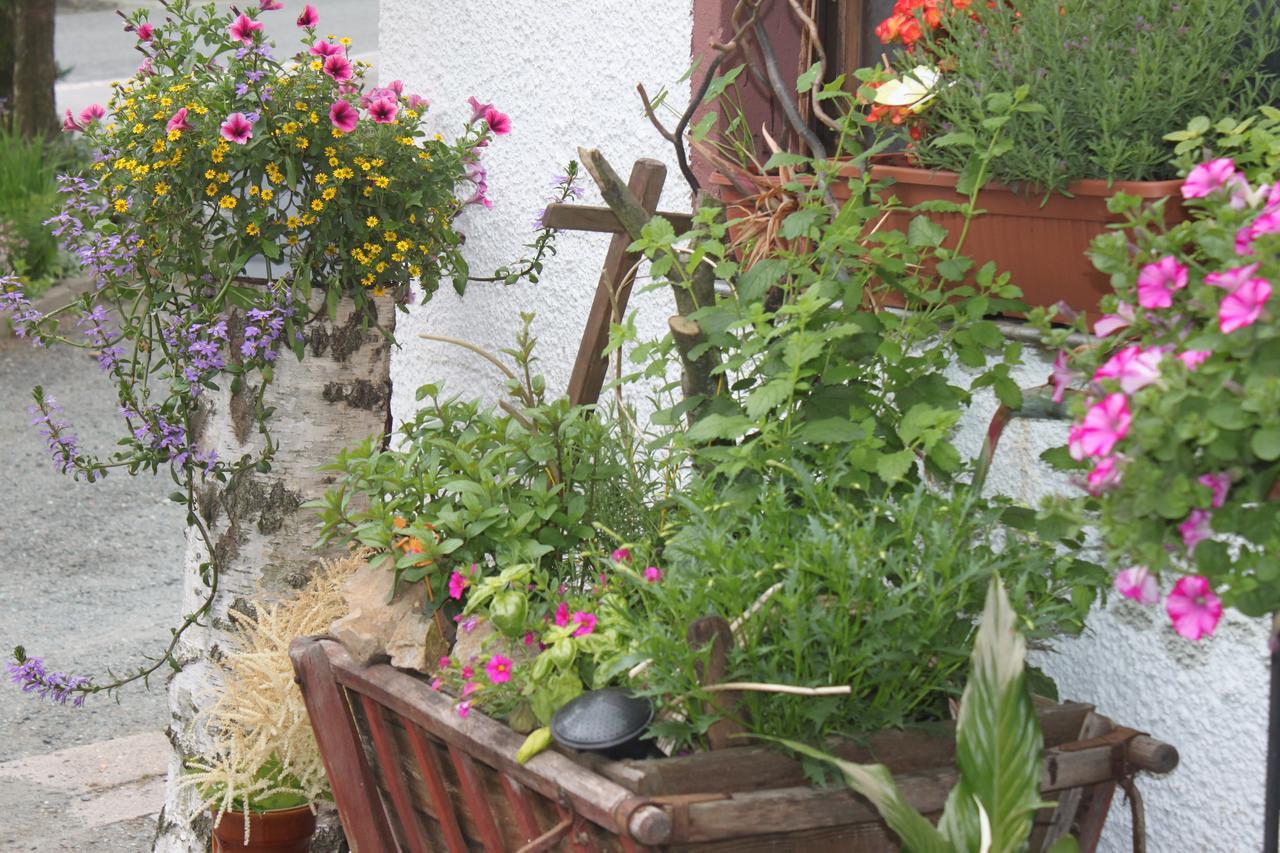 Pension Und Restaurant Die Burg Ehrenfriedersdorf Kültér fotó